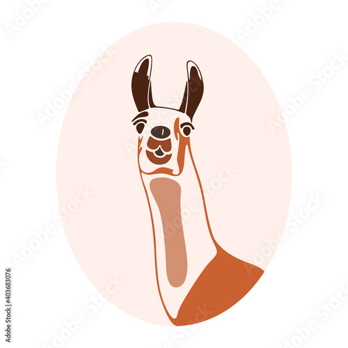 brown llama in a pink oval