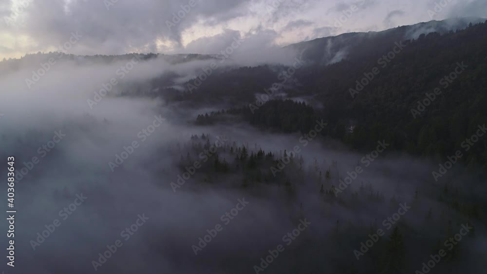 Incredible aerial over fog in redwood forest, shot in California. Hills partially covered in clouds, very eerie, calm, peaceful. Slowly moving forward over the trees. Incredible aerial over fog in redwood forest, shot in California. Hills partially covered in clouds, very eerie, calm, peaceful. Slowly moving forward over the trees.