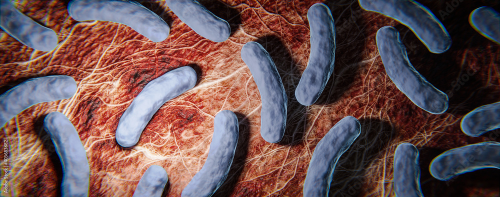 Legionellen Bakterien unter dem Mikroskop - 3D Visualisierung  Stock-Illustration | Adobe Stock
