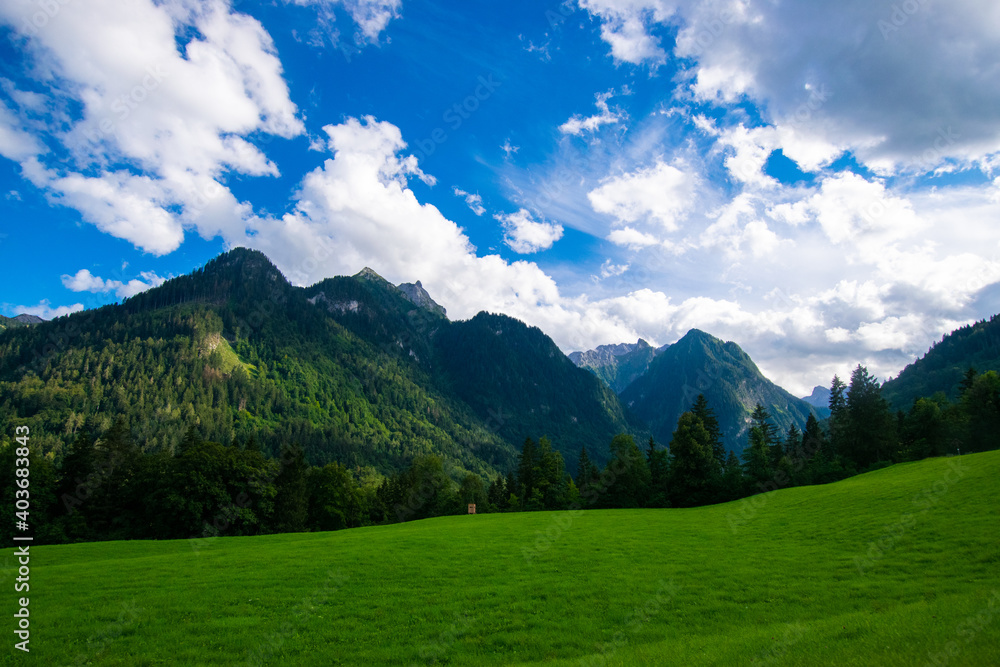 landscape in the alps (Vorarlberg, Austria)