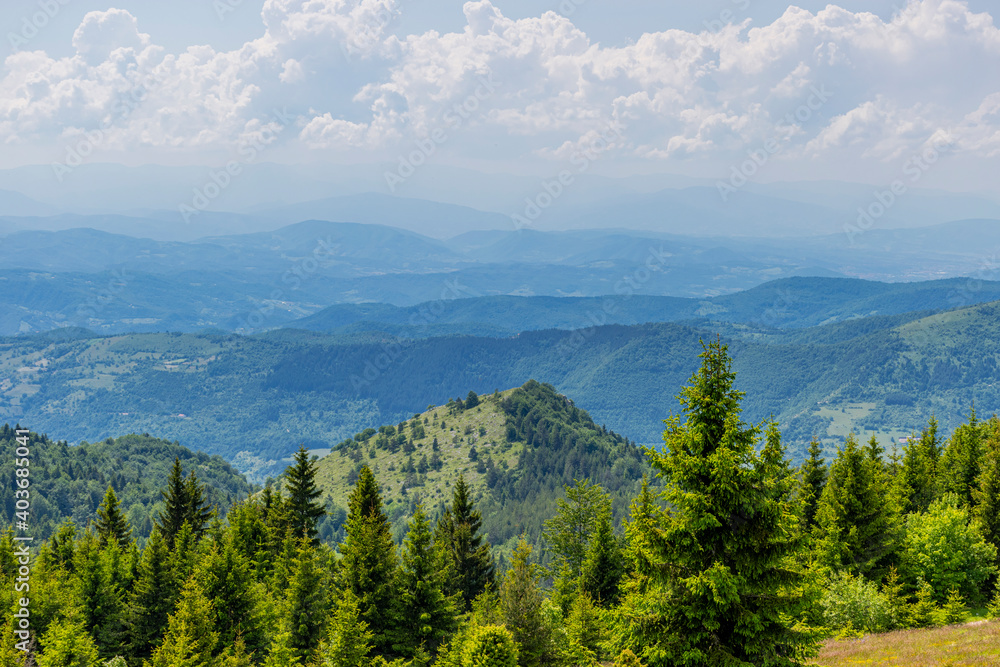 Fototapeta premium landscape in the mountains