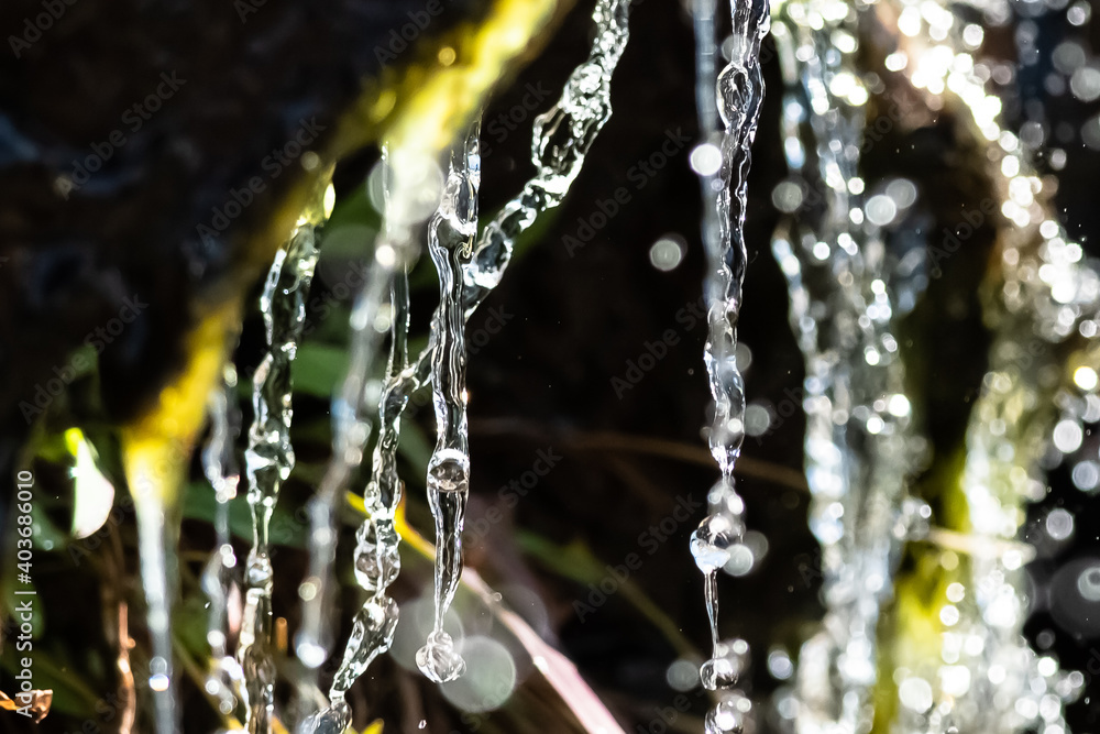 Drops of Splashing Water Raining Down on the Autumn Vegetation Drops of Splashing Water Raining Down on the Autumn Vegetation