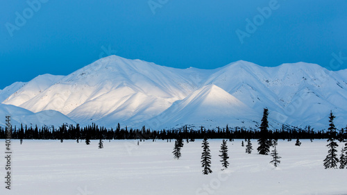 Snow covered Alaskan mountain range rises from the frozen  tree spotted landscape.