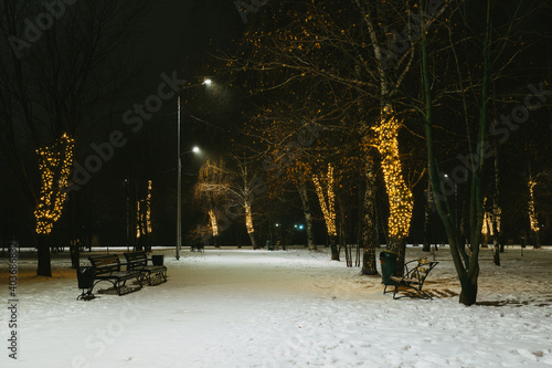 winter in the park