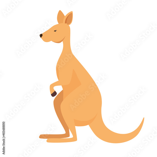 kangaroo australian animal wild character vector illustration design