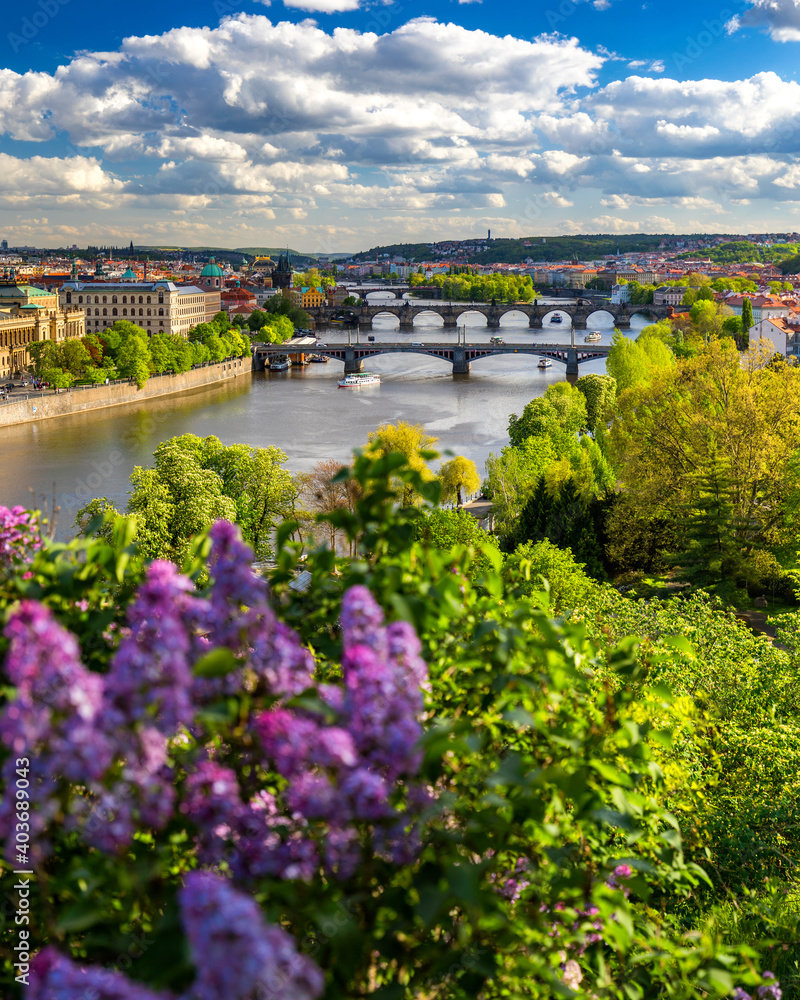 Obraz premium Scenic view of the Old Town pier architecture and Charles Bridge over Vltava river in Prague, Czech Republic. Prague iconic Charles Bridge (Karluv Most) and Old Town Bridge Tower at sunset, Czechia.