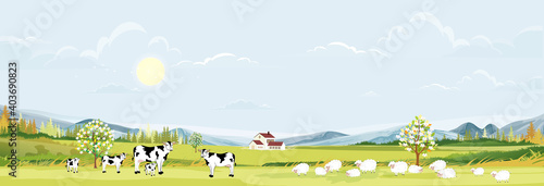 Rural farm landscape with green fields and barn animals cow, goats, sheep and windmills on hill with blue sky and clouds, Vector cartoon Spring or Summer landscape,Eco village or Organic farming in uk