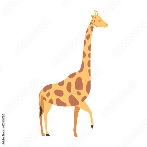 giraffe african animal wild character vector illustration design