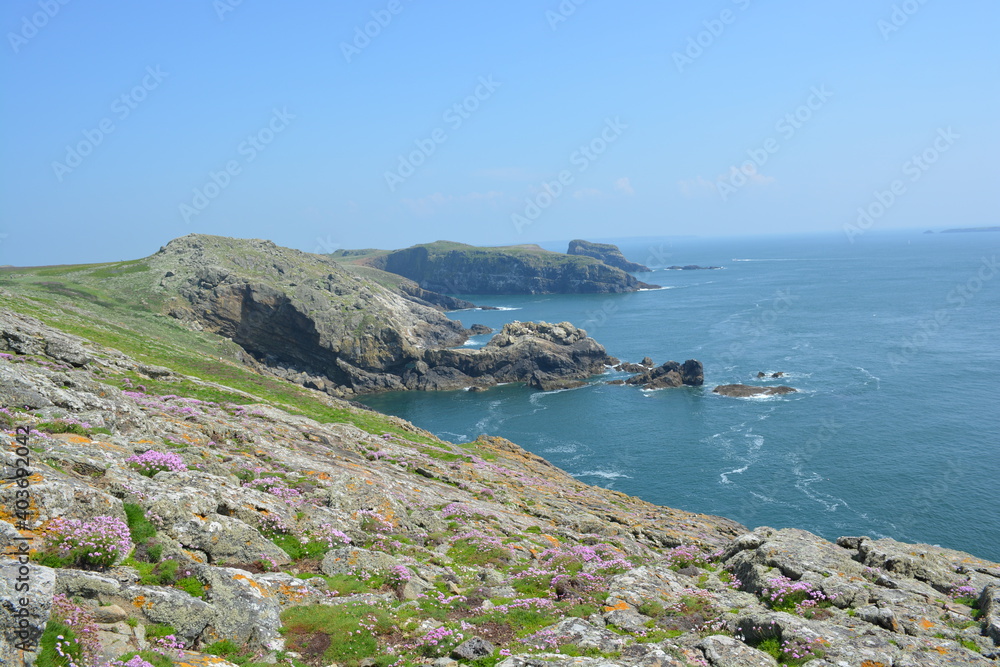 Beautiful coastal landscape of Skomer Island , Wales, Pembrokeshire, United Kingdom. Beautiful coastal landscape of Skomer Island , Wales, Pembrokeshire, United Kingdom.