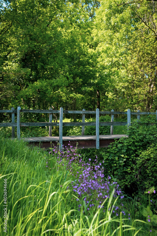 wooden bridge in nature in summer wooden bridge in nature in summer