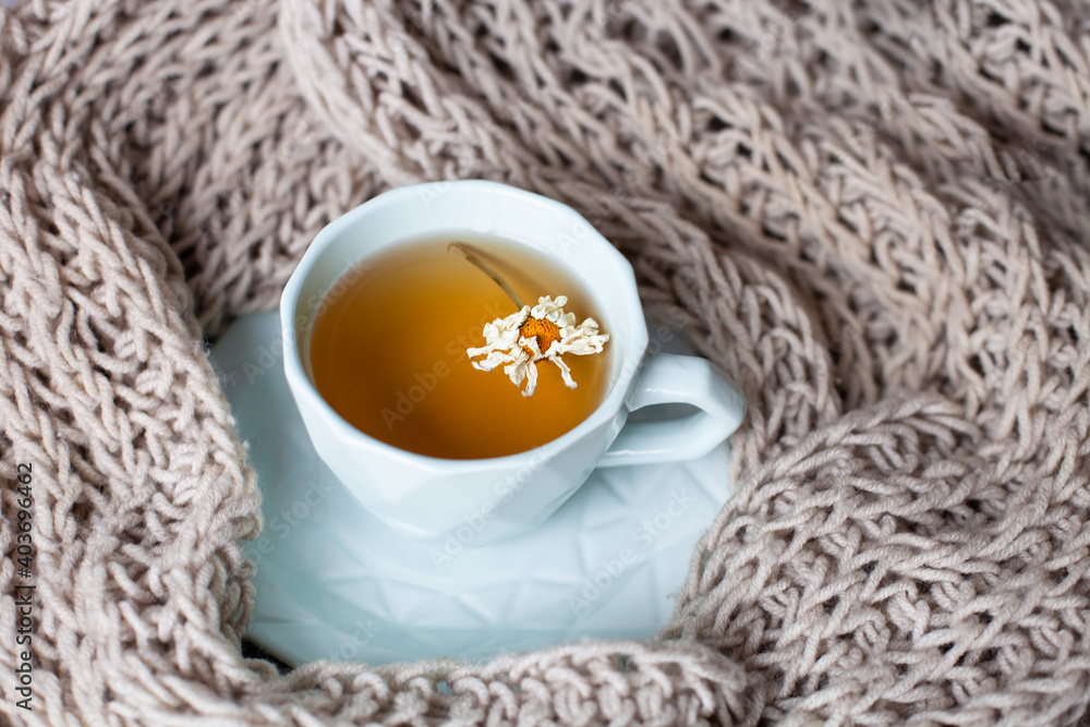 Cup of herbal chamomile tea with dried flower on a cozy beige knit background. Concept of prevention of cold and flu, home remedies, natural health care. Selective focus. Cup of herbal chamomile tea with dried flower on a cozy beige knit background. Concept of prevention of cold and flu, home remedies, natural health care. Selective focus.