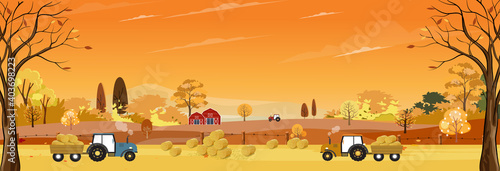 Autumn landscaps with harvest fram fields  tractor wooden barn on hills  Natural foliage background in fall seson with panoramic view of eco village with grass land in sunny day