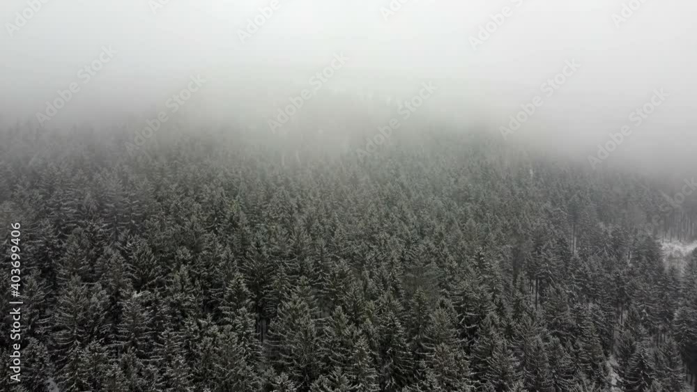 Aerial view of a mountain forest during a blizzard, snowfall. The trees are drowning in clouds, the landscape is white, winter and cloudy. Aerial view of a mountain forest during a blizzard, snowfall. The trees are drowning in clouds, the landscape is white, winter and cloudy.