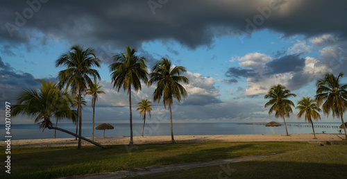Palm trees on the beach of El Colony Isla de Juventud Cuba © Venko