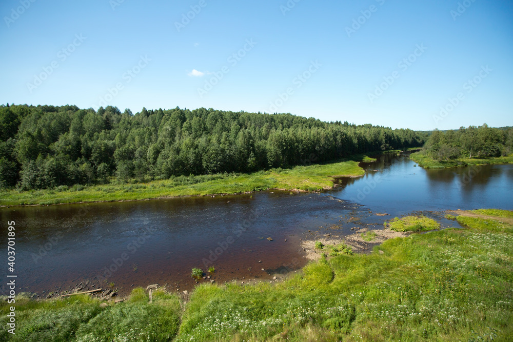 View of the coniferous forest and river in summer in the North of Russia. View of the coniferous forest and river in summer in the North of Russia.