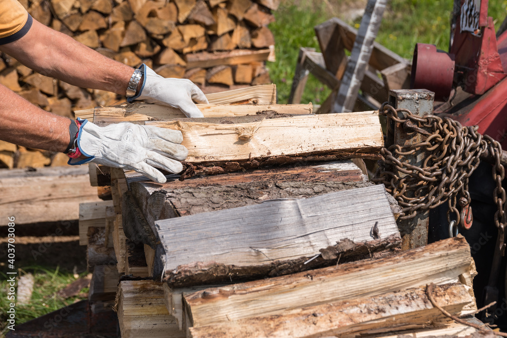 Logs Are Given For Winter As Firewood Stock Logs Are Given For Winter As Firewood Stock
