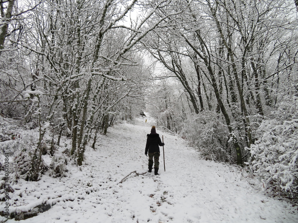 Randonnée chemin enneigé 1 Randonnée chemin enneigé 1