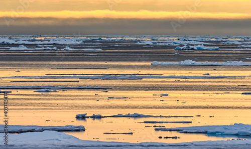 Fototapeta Naklejka Na Ścianę i Meble -  Sun reflects golden light on water between melting ice near Arctic Circle