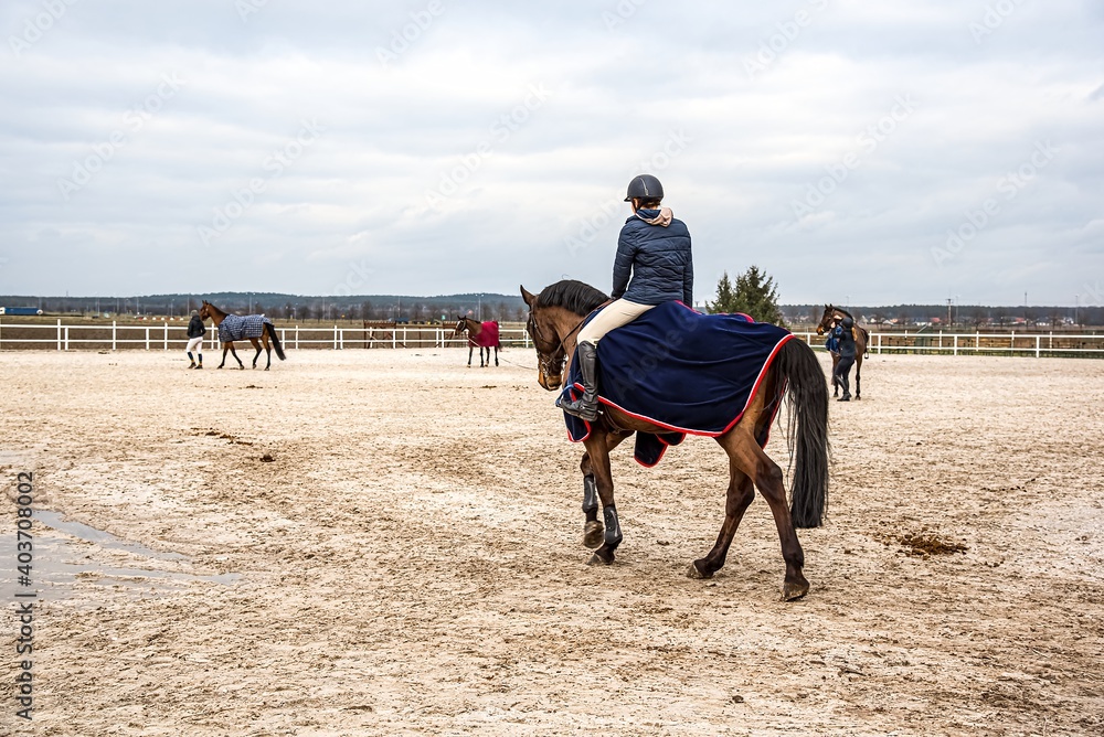 Horse riding. Young girl riding a horse Horse riding. Young girl riding a horse