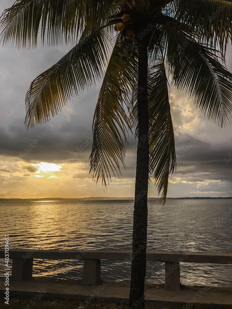 Cuba sea sunset palmtree