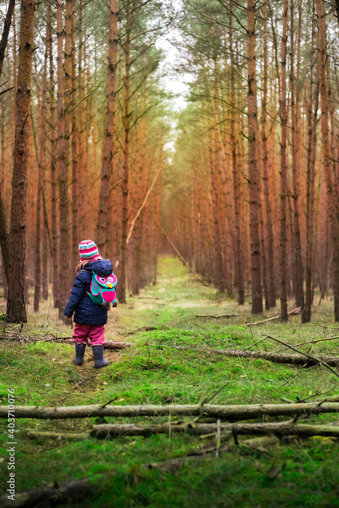 Kind im Wald