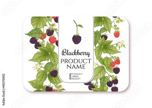 Blackberry. Ripe berries on branch. Template for product label, cosmetic packaging. Easy to edit. Graphic drawing, engraving style. Vector illustration..