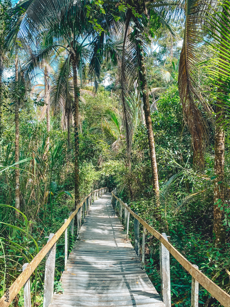Fototapeta premium Beautiful bridge in tropics