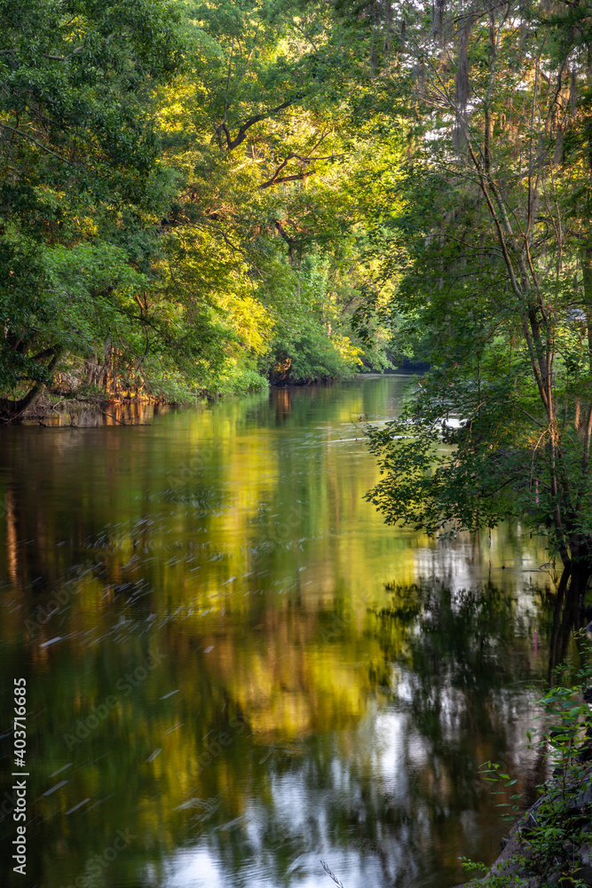 Photo of the Edisto River near Orangeburg, SC with beautiful lighting and reflections on the water in the late spring Photo of the Edisto River near Orangeburg, SC with beautiful lighting and reflections on the water in the late spring