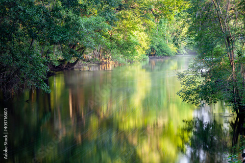 Photo of the Edisto River near Orangeburg, SC with beautiful lighting and reflections on the water in the late spring