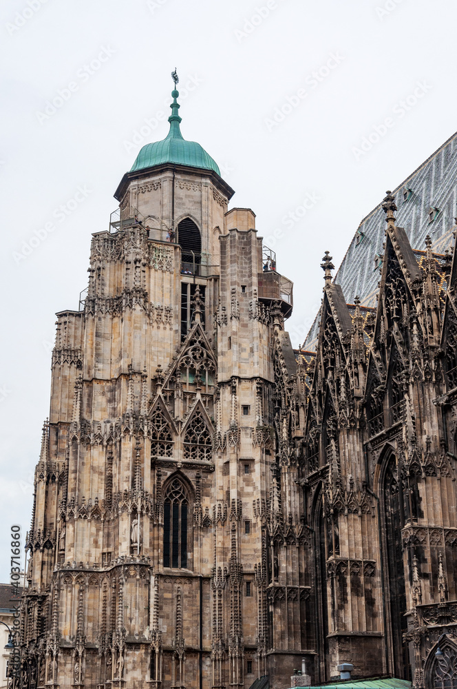 Fototapeta premium St. Stephen's Cathedral in Vienna