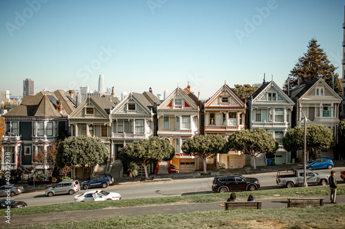 Painted Ladies