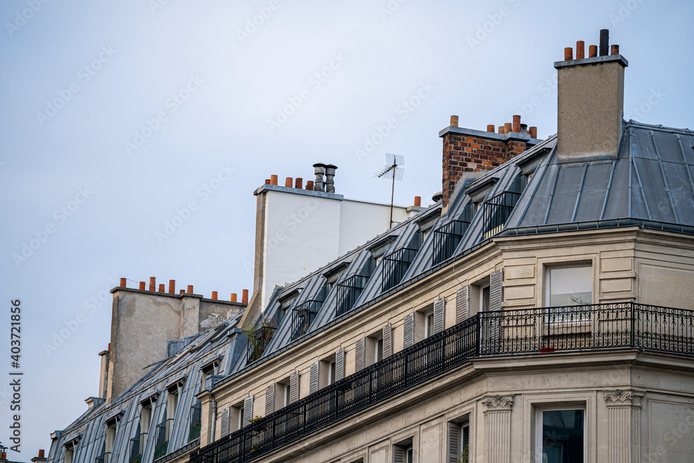 roofs and roofs typical of paris, in france roofs and roofs typical of paris, in france