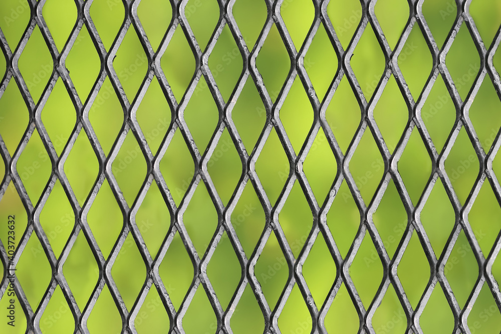 Fototapeta premium black metal grid with green blurred for background