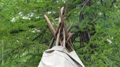 Traditional tent made with long tree branches. Forest nomad nomadic life wood woodland boreal temperate green dense vegetation forestry sylvan grove taiga pine beech plant land cover subtropical woods photo