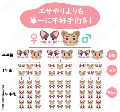 地域猫TNRの説明イラスト　エサやりより不妊手術