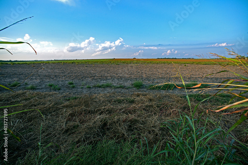 Sunsets photo