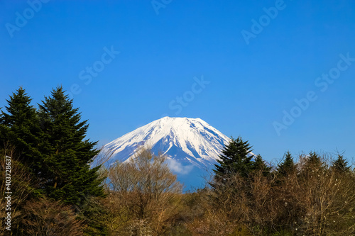 Beautiful Mount Fuji, japan., Mount Fuji with green field and blue sky.
