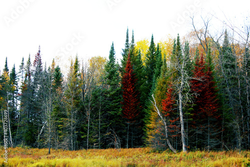 The Great North of Minnesota