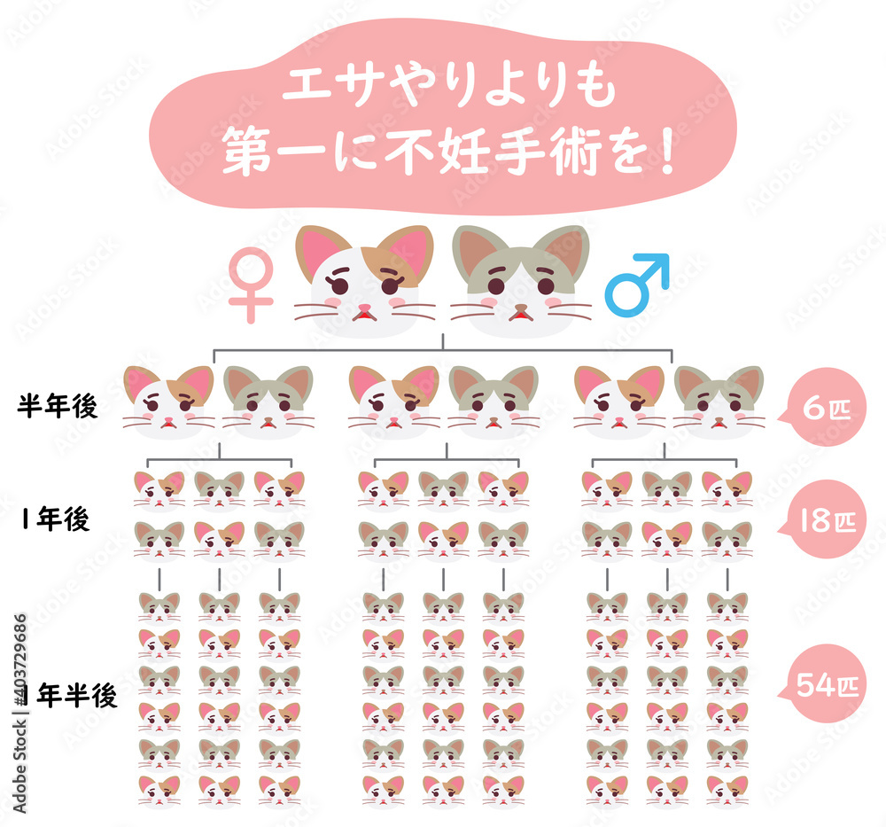 Obraz premium 地域猫TNRの説明イラスト エサやりより不妊手術
