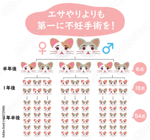 地域猫TNRの説明イラスト　エサやりより不妊手術