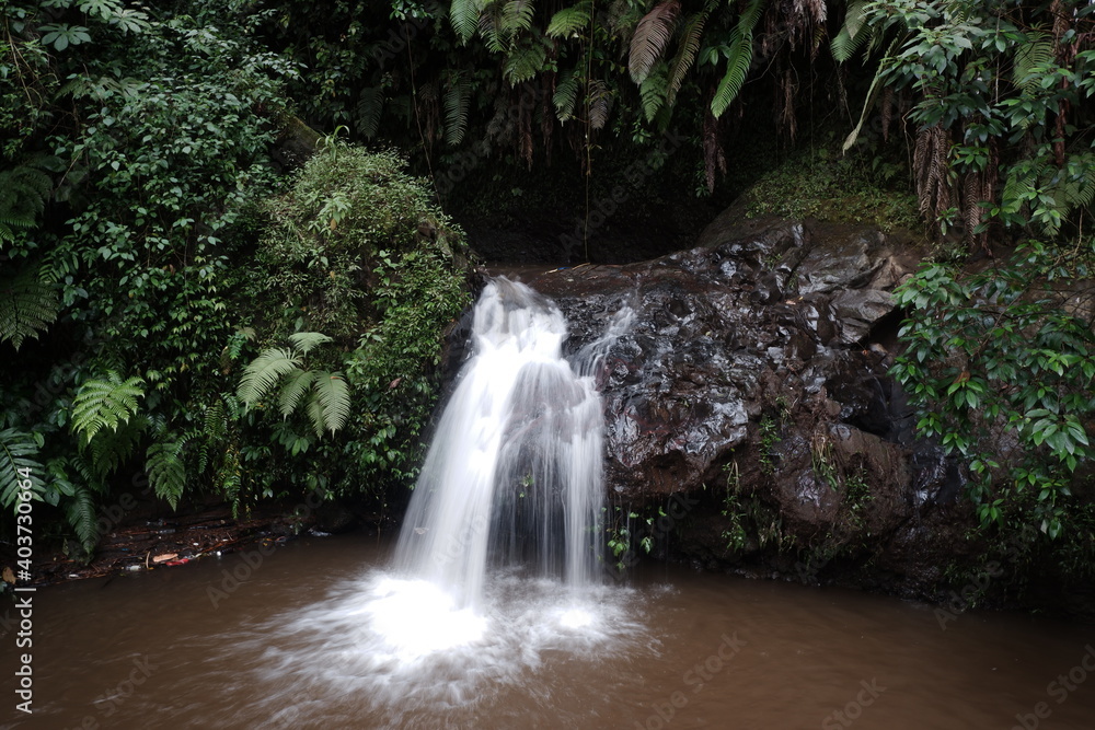 Beautiful waterfall in the forest Beautiful waterfall in the forest