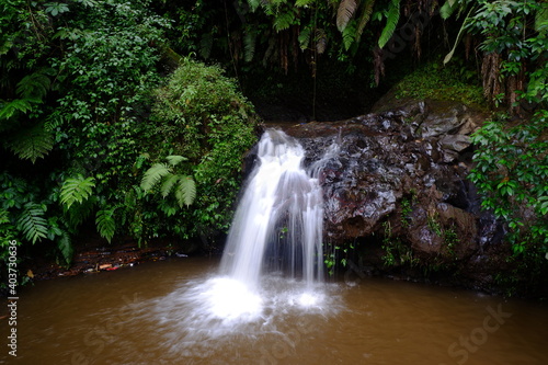 Wonderful waterfall in the jungle