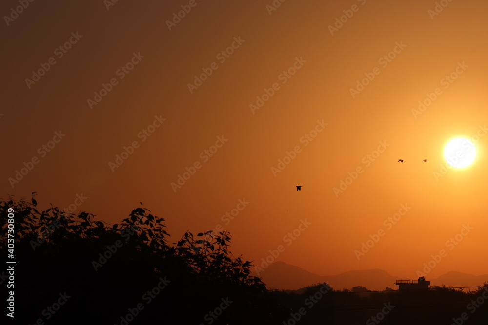 A beautiful sunrise view in which a sun rises in the sky and the background of the hills and forest trees and the flock of flying pigeon birds