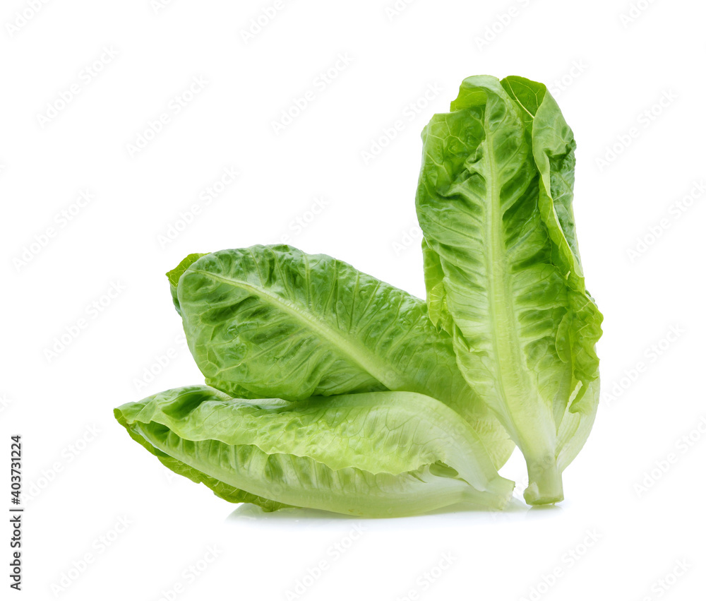 fresh baby cos,lettuce isolated on white background fresh baby cos,lettuce isolated on white background