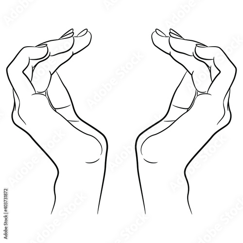 Two beautiful human female hands in elegant cupped gesture. Black and white linear silhouette. Cartoon style. Isolated vector illustration.