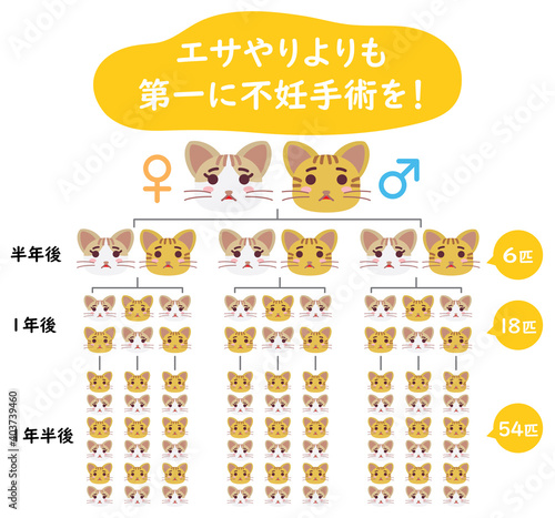 地域猫TNRの説明イラスト　エサやりより不妊手術