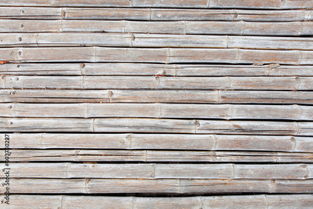 Obraz premium texture of yellow bamboo wall, background from fence