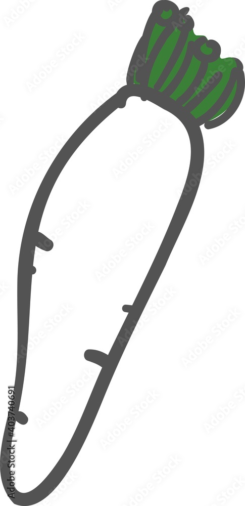 大根冬野菜のイラスト Stock Illustration Adobe Stock