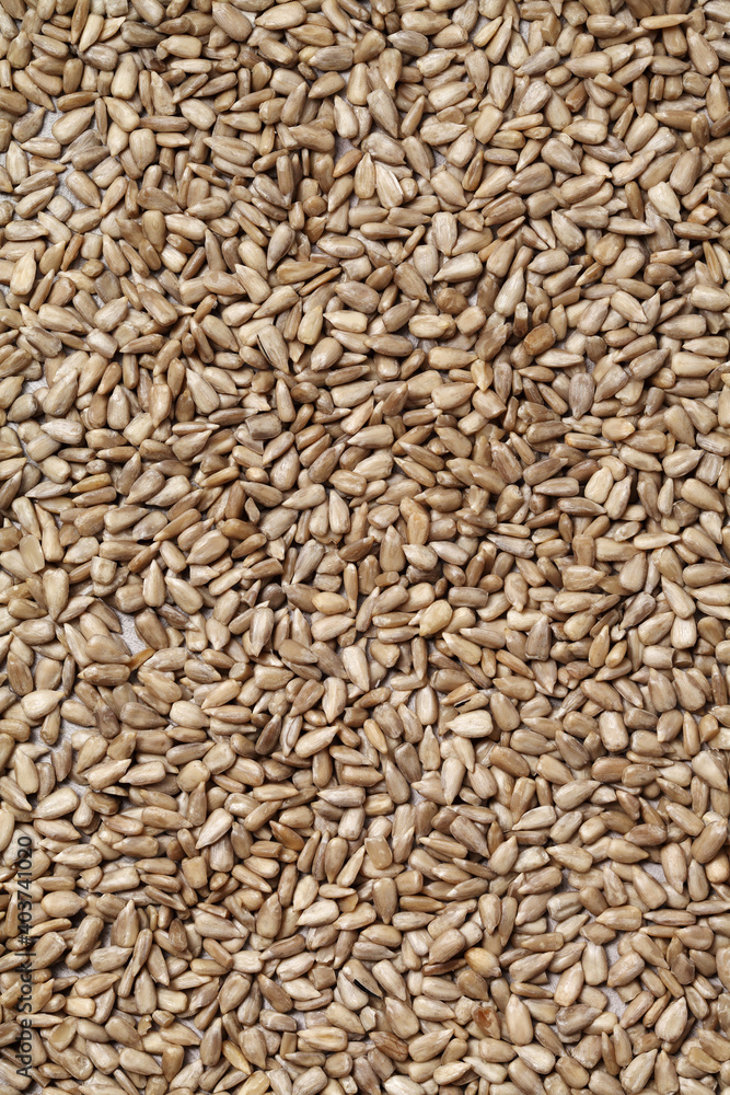 sunflower seeds on rustic background sunflower seeds on rustic background