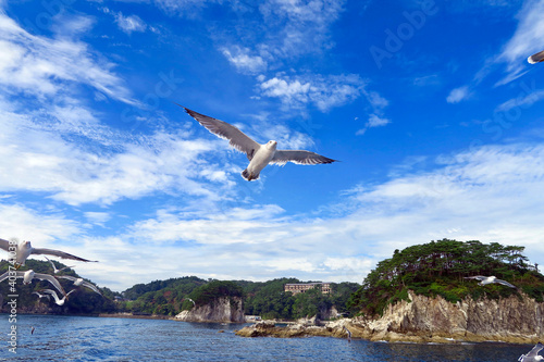 みやこ浄土ヶ浜遊覧船